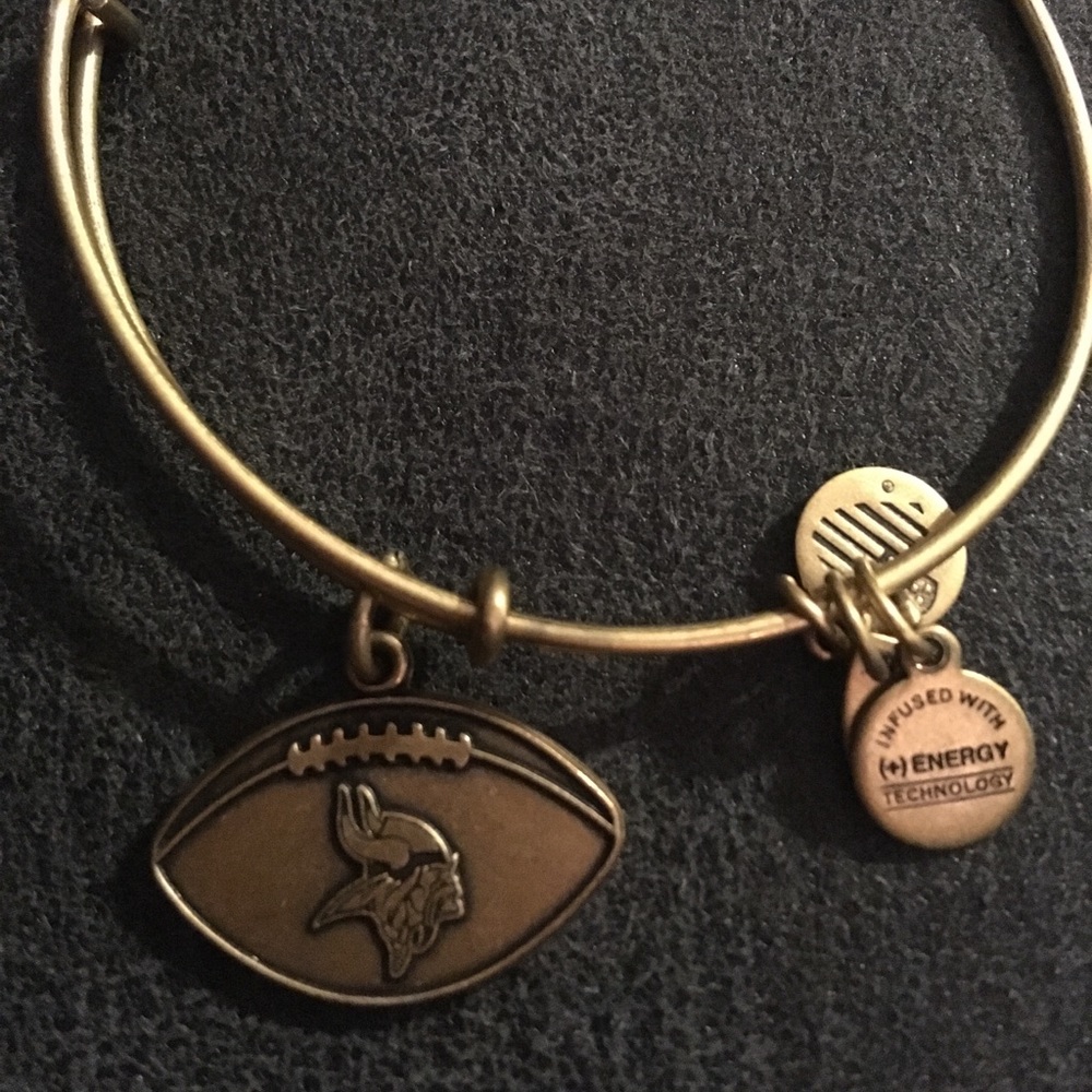 Alex and Ani Minnesota Viking Charm bracelet